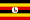 Uganda Porn Conductor
